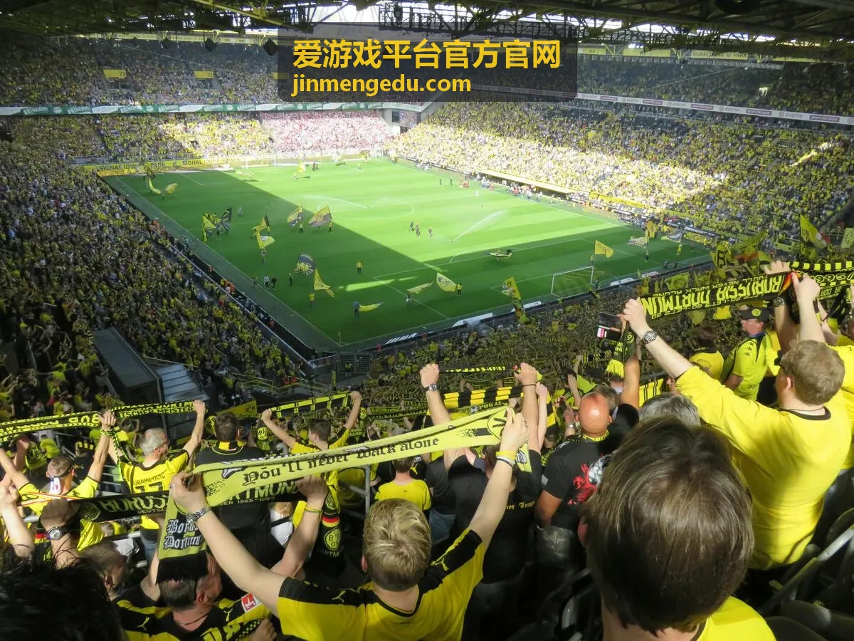 爱游戏平台官方官网平台功能说明配图