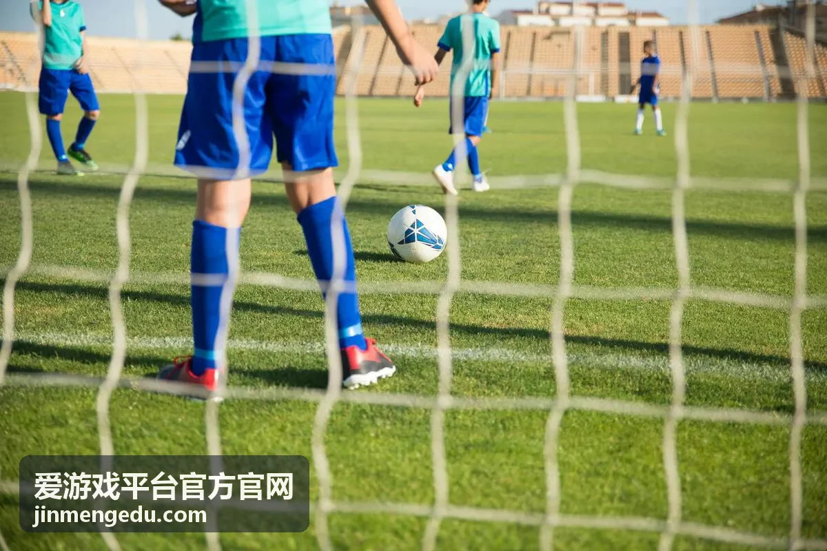 爱游戏平台官方官网下载与登录指引配图