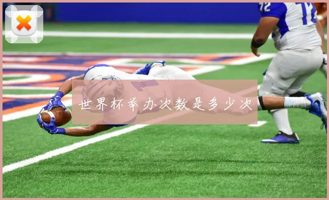 世界杯举办次数是多少次