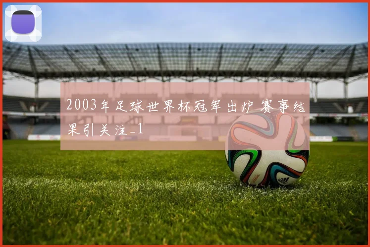 2003年足球世界杯冠军出炉 赛事结果引关注_1