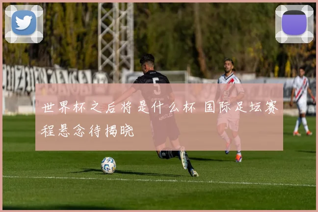 世界杯之后将是什么杯 国际足坛赛程悬念待揭晓