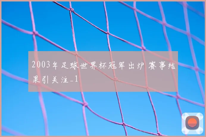 2003年足球世界杯冠军出炉 赛事结果引关注_1